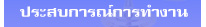 ประสบการณ์การทำงาน